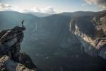 Free Solo & The Dawn Wall - pokazy specjalne